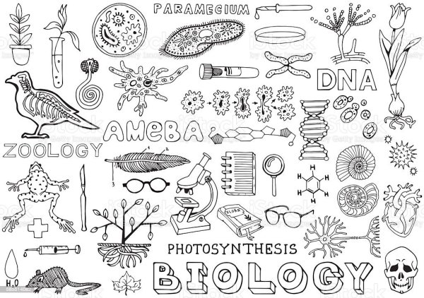 Стикеры на тему биология