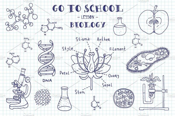 Мини рисуночек к биологии
