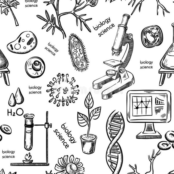 Биология на доске