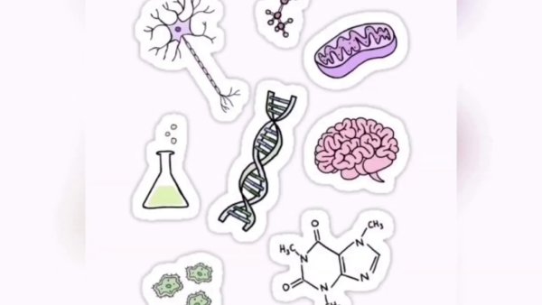 Маленькие рисунки для конспекта
