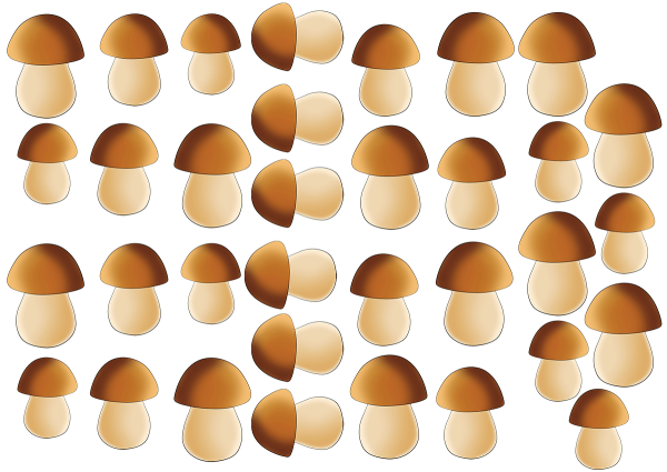 Шаблоны грибов