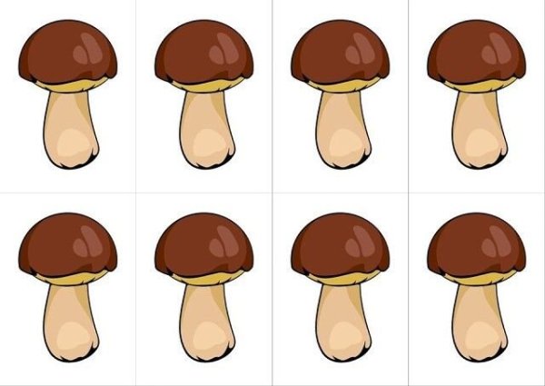 Грибы для детей