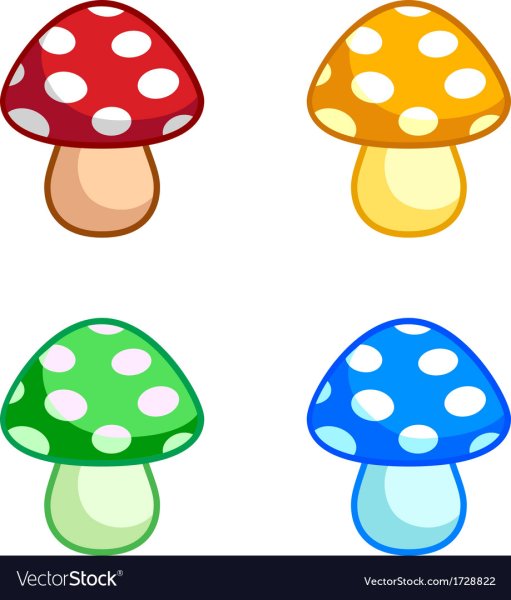 Белый гриб Боровик раскраска