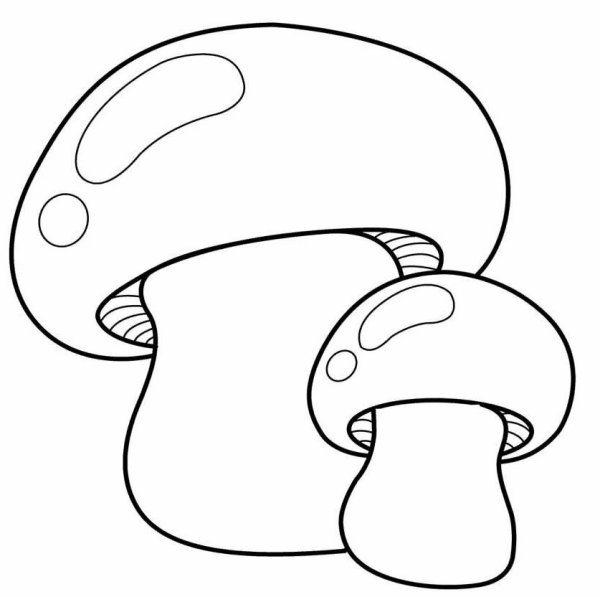 Грибочек раскраска для малышей