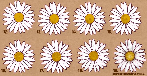 Ромашка рисунок