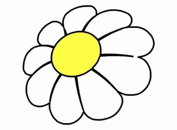 Цветок 6 лепестков