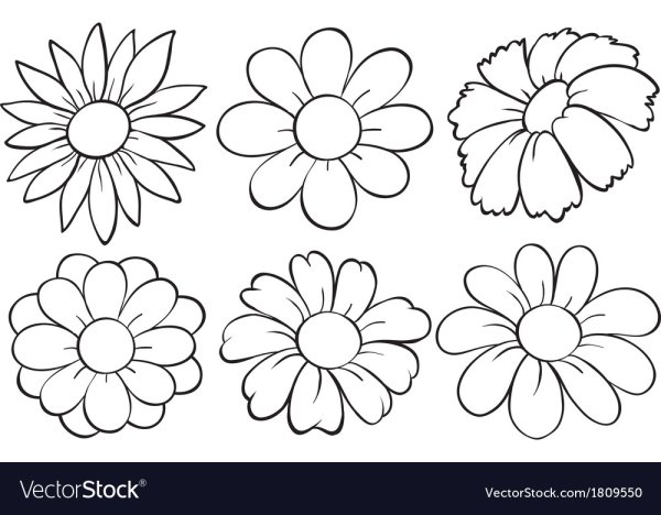 Ромашка раскраска для детей