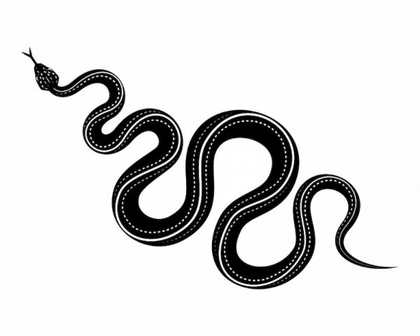 Змея вектор