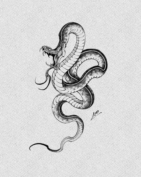 Змея эскиз