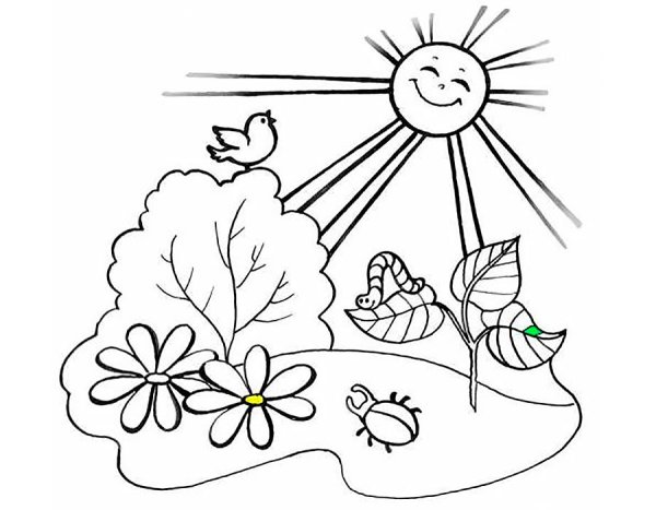 Раскраска посадка деревьев