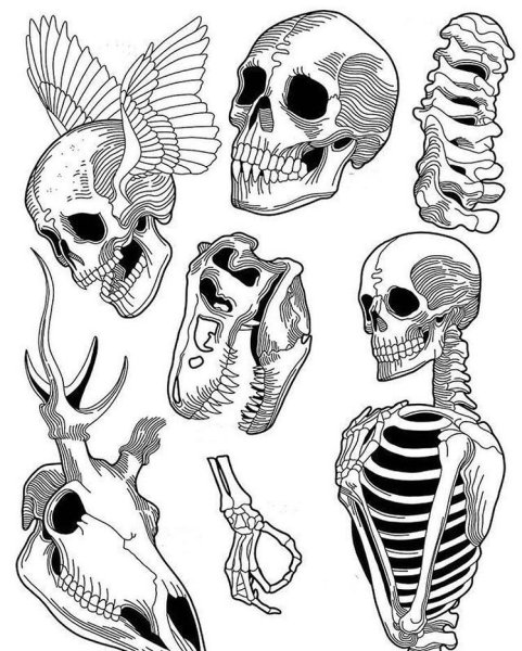 Маленький эскиз черепа