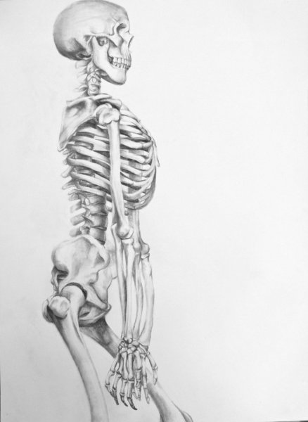 Скелет маленький рисунок