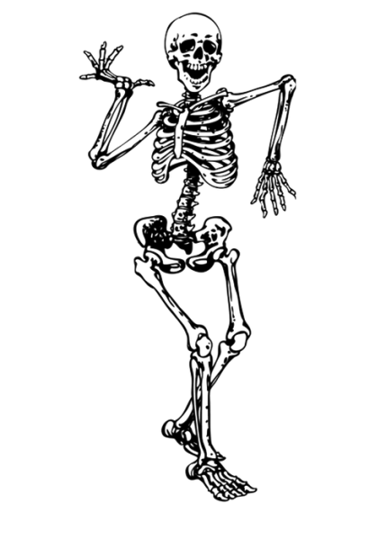 Скелет вориор