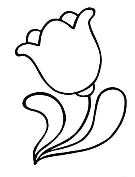 Цветы раскраска для детей 2-3 лет