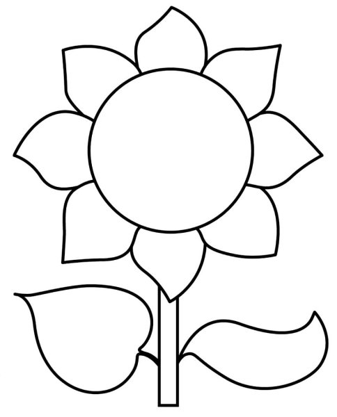 Пластилиновые заплатки цветы