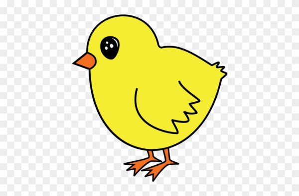 Цыпленок шаблон