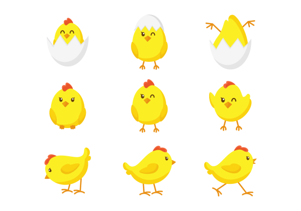 Цыпленок раскраска для детей