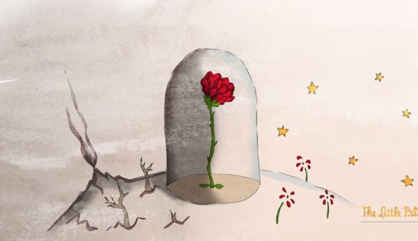 Роза под колпаком из маленького принца