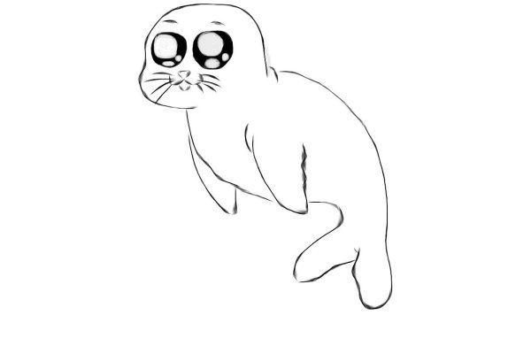 Рисунки тюленя для срисовки