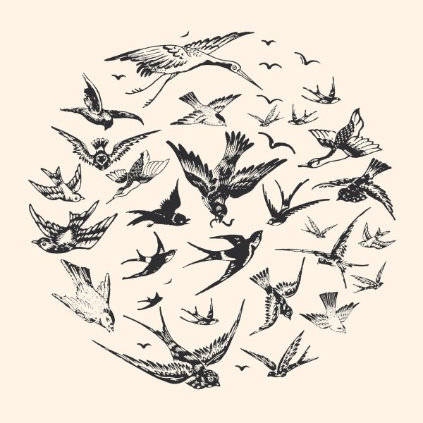 Лотос Мандала эскиз