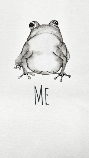 Лягушка для скетчбука