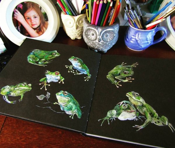 Скетчбуки с лягушками
