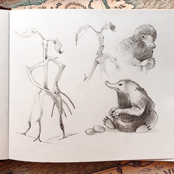 Рисунки для скетчбука карандашом животных