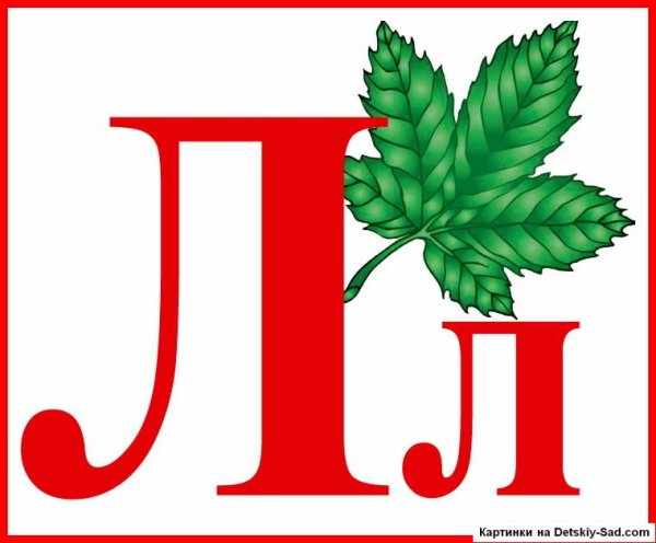 Карточка буква л