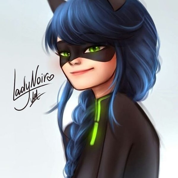 Адриан Агрест кот Нуар