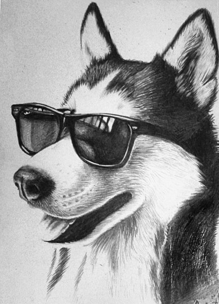 Крутые рисунки карандашом