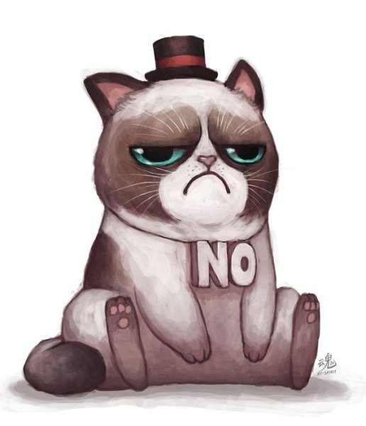 Недовольный кот арт