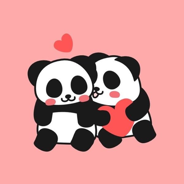 Панды любовь