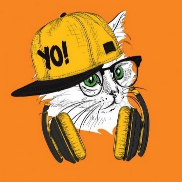 Котик в шапке