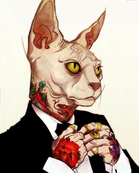 Котенок арт