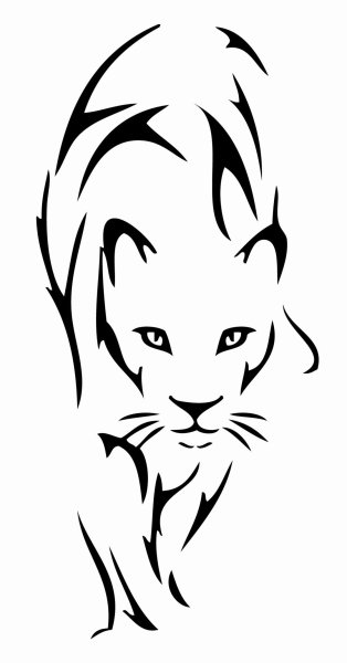 Тату пантера карандашом