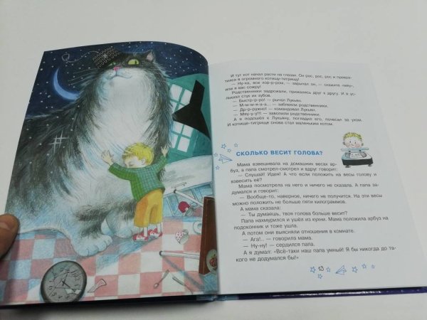 Кургузов рассказы маленького мальчика книга