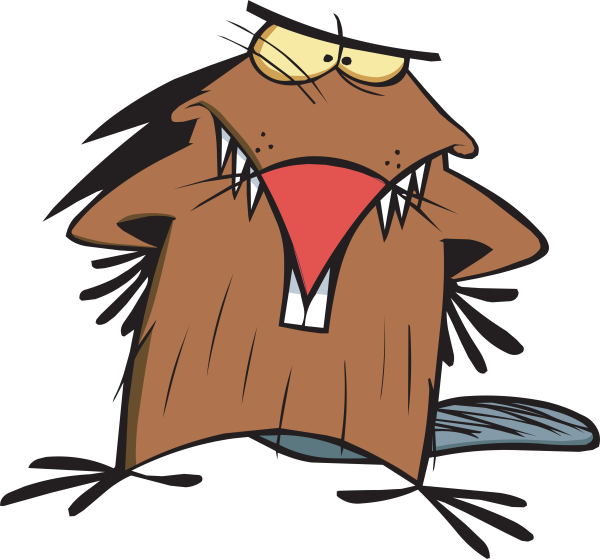 Бобры мультик Никелодеон