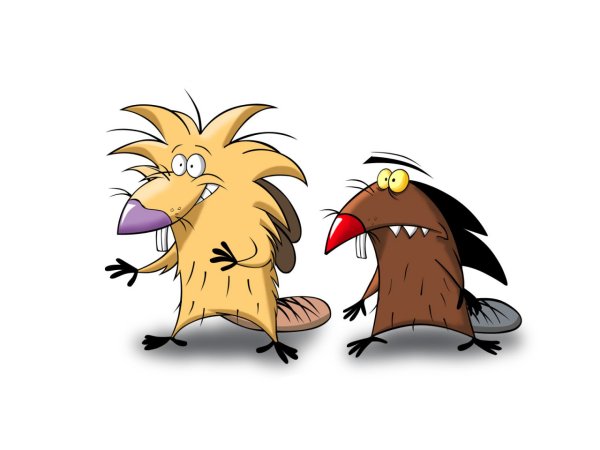 Норберт бобер