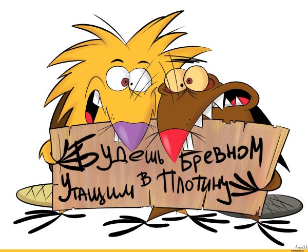 Крутые бобры рисунок