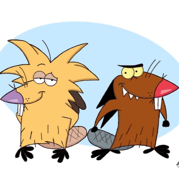 Крутые бобры на белом фоне