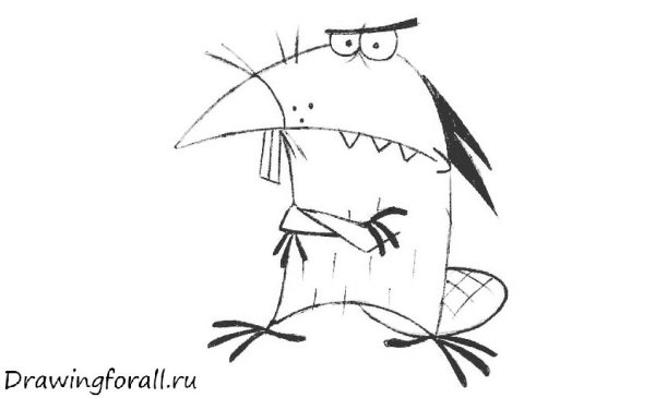 Бобры Норберт