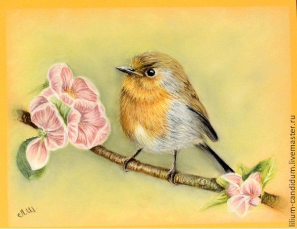 Весенние птицы пастелью