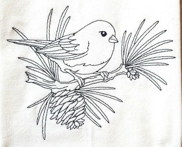 Нотки птички