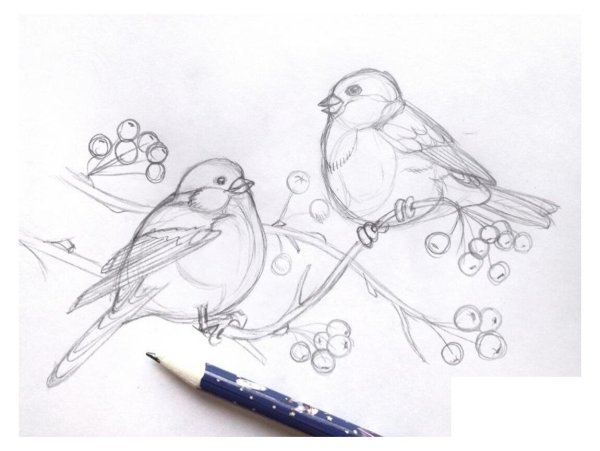 Птичка на ветке мультяшная