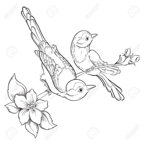 Мультяшная птица на ветке