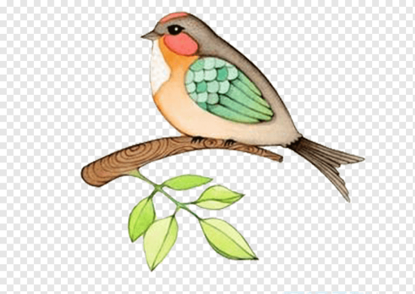 Воробей Графика