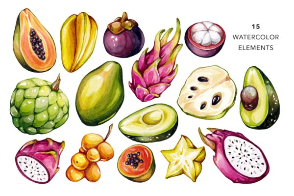 Экзотические фрукты акварелью