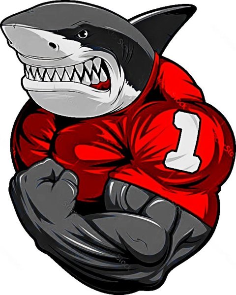 Мускулистая акула