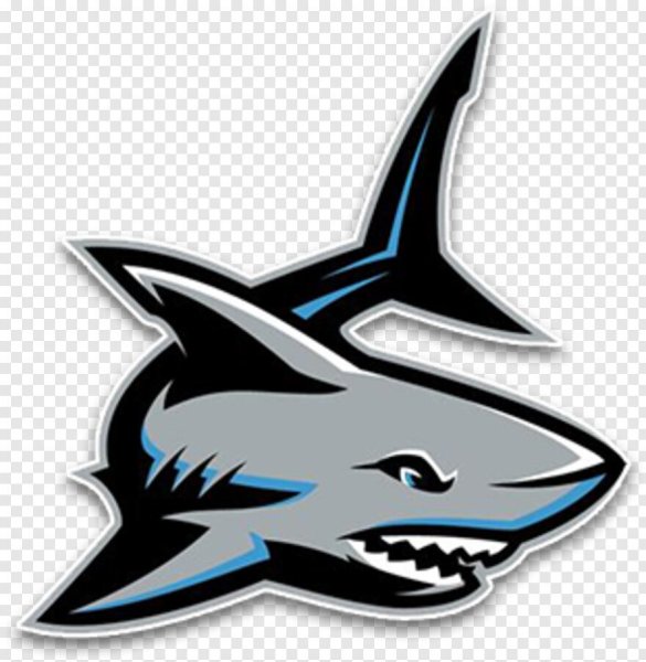 Акула логотип