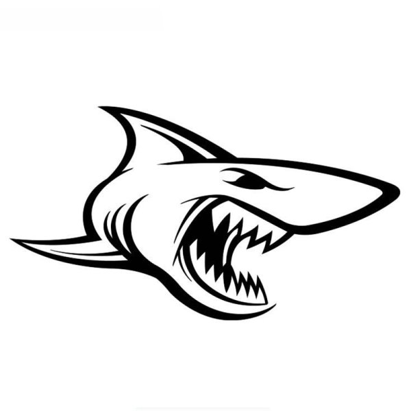Трафарет акулы на машину
